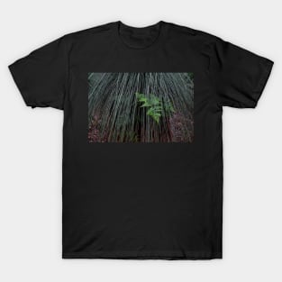 Emerging T-Shirt